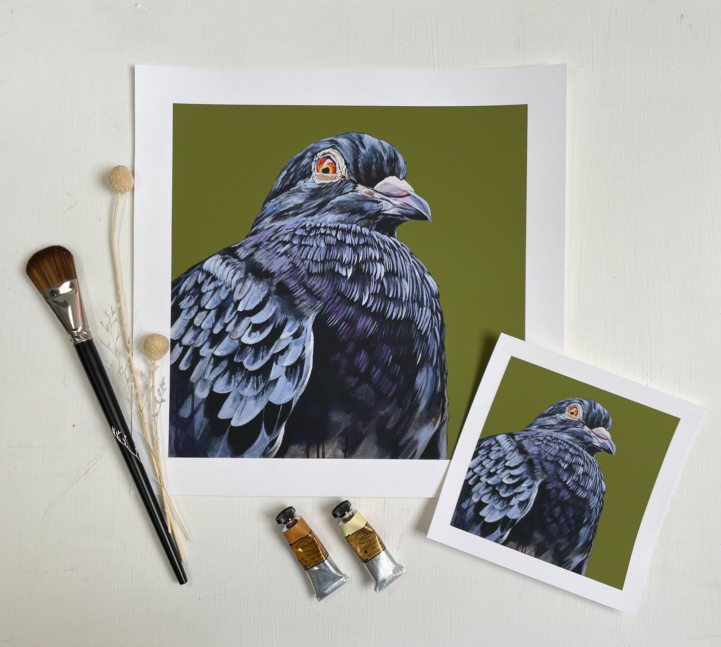 "NYC Pigeon" Fine Art Print