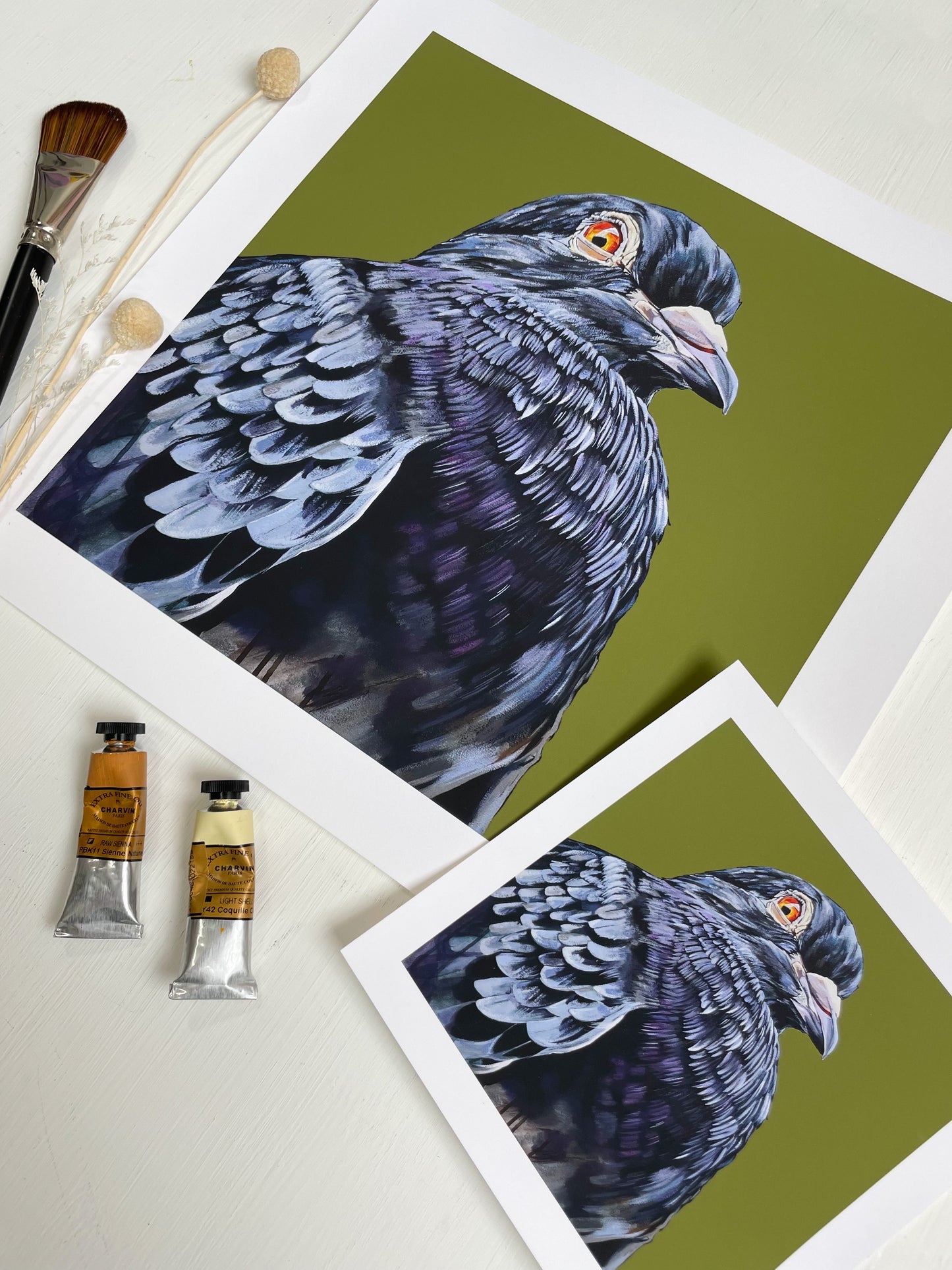 "NYC Pigeon" Fine Art Print