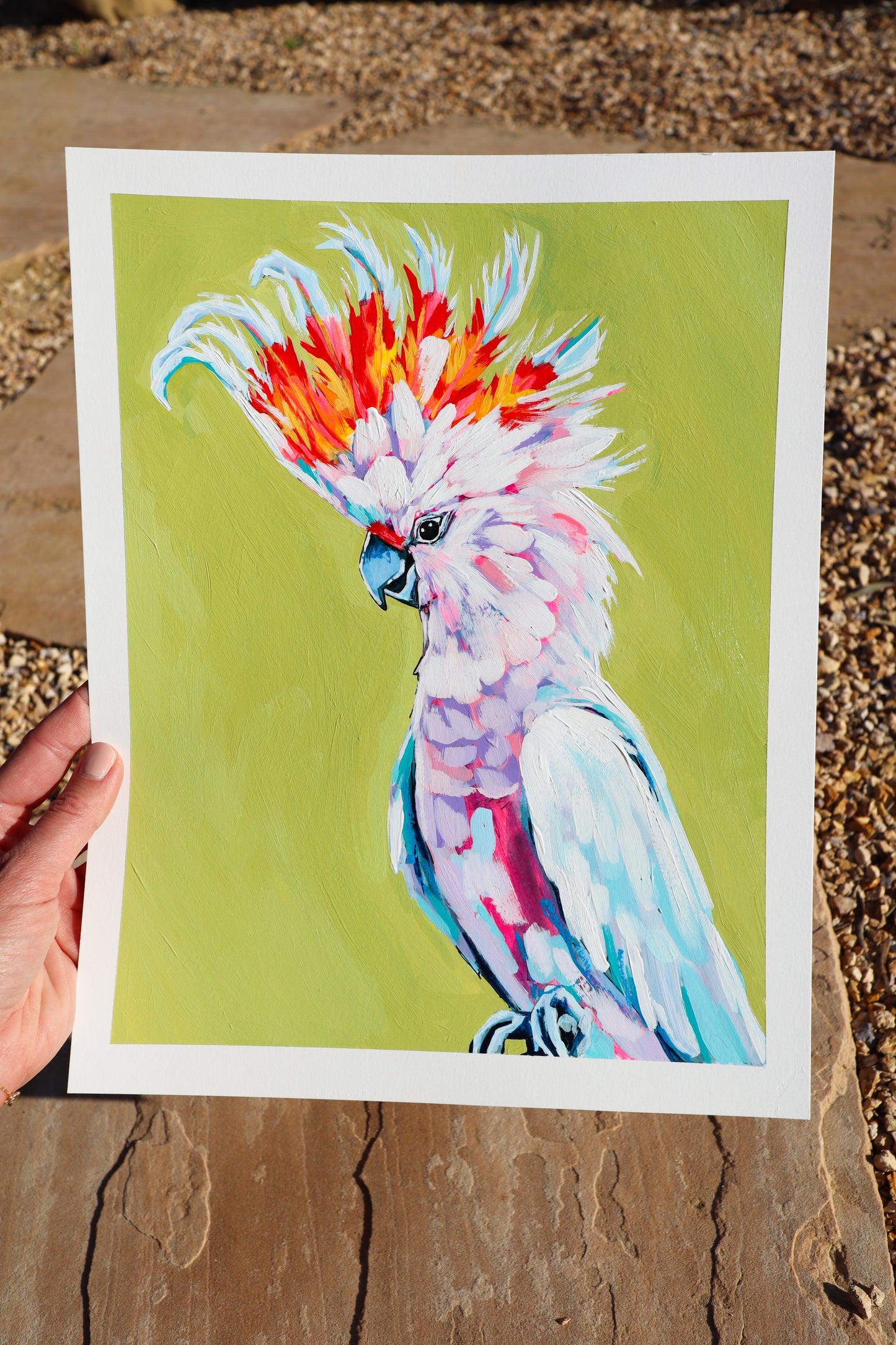"Cockatoo Study"