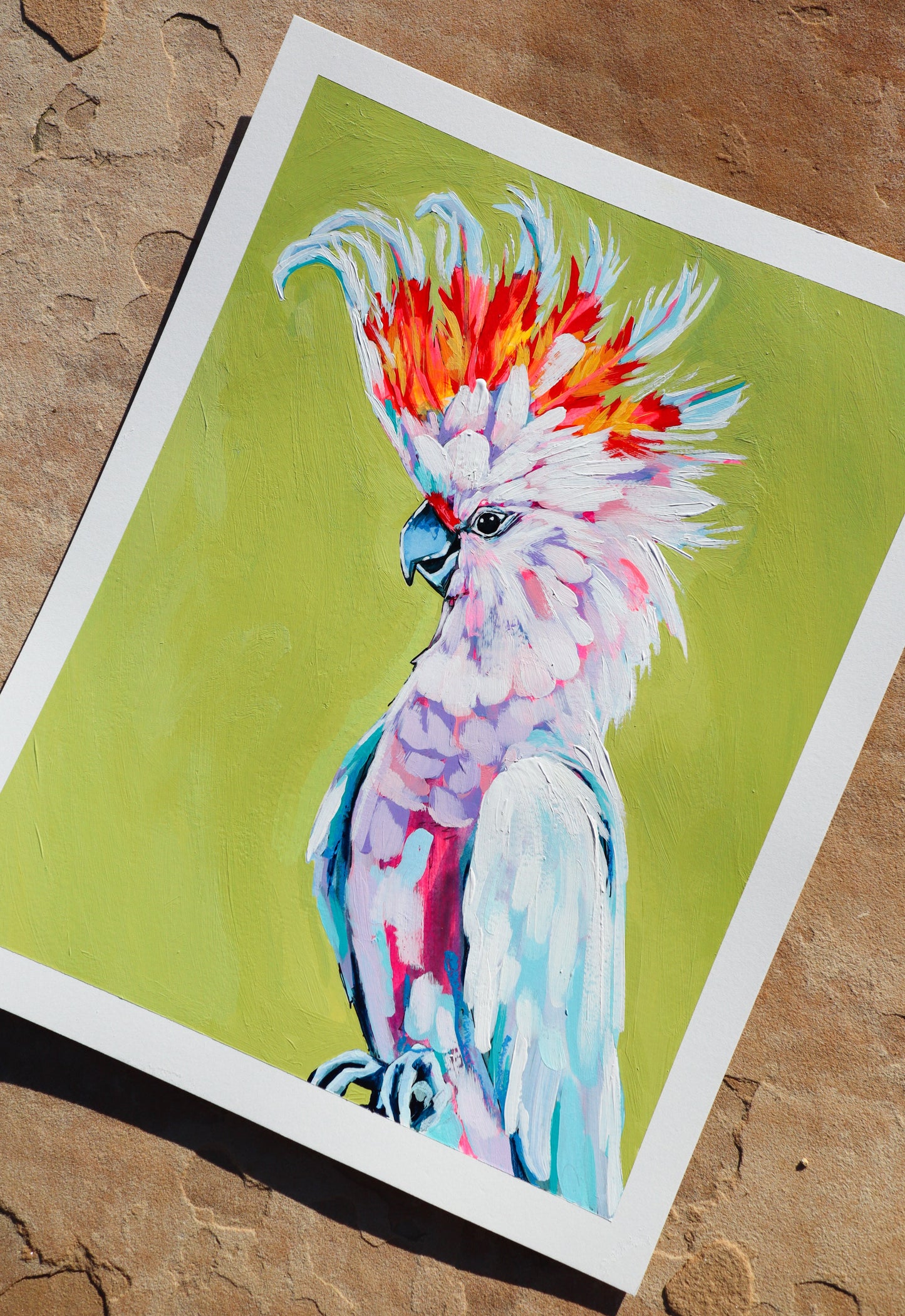 "Cockatoo Study"