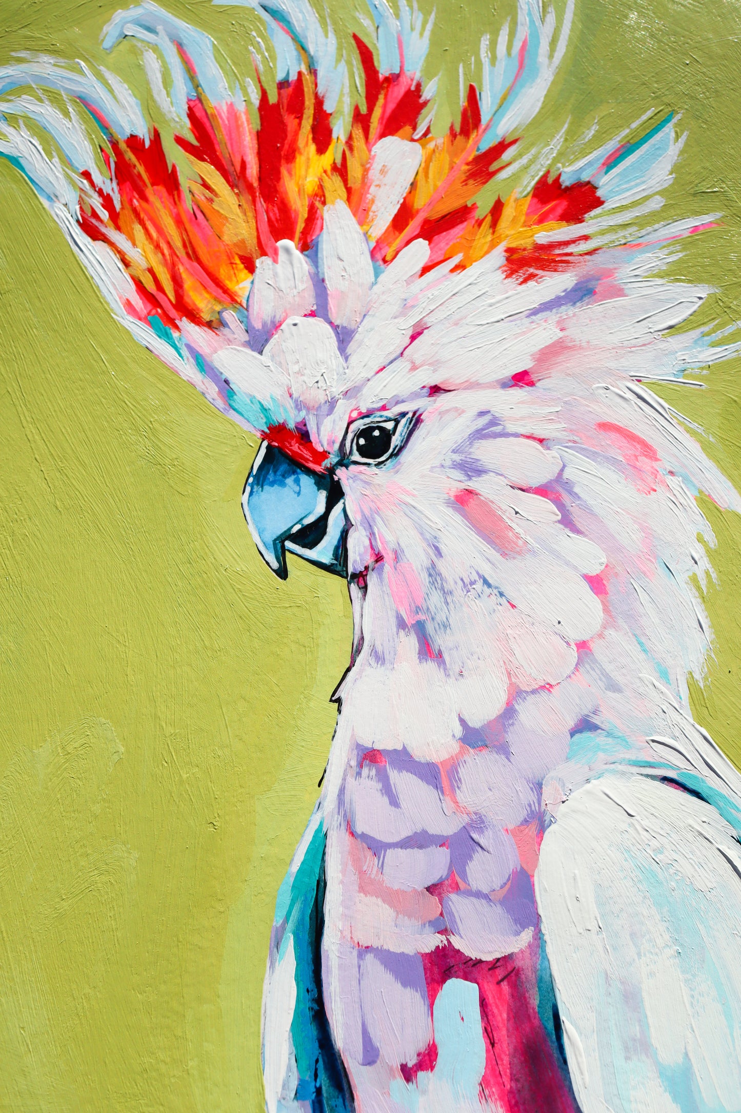 "Cockatoo Study"