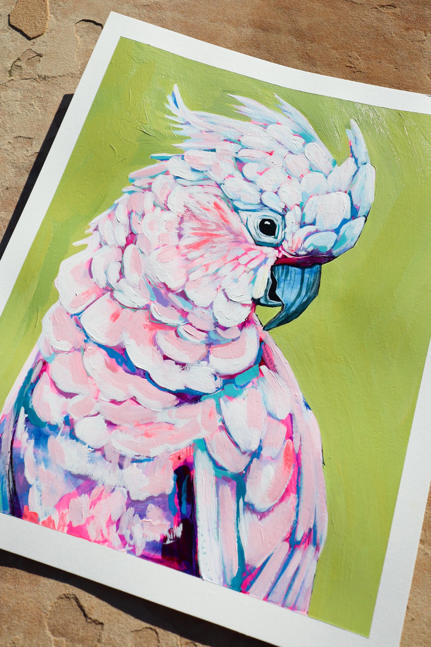 "Cockatoo Study II"