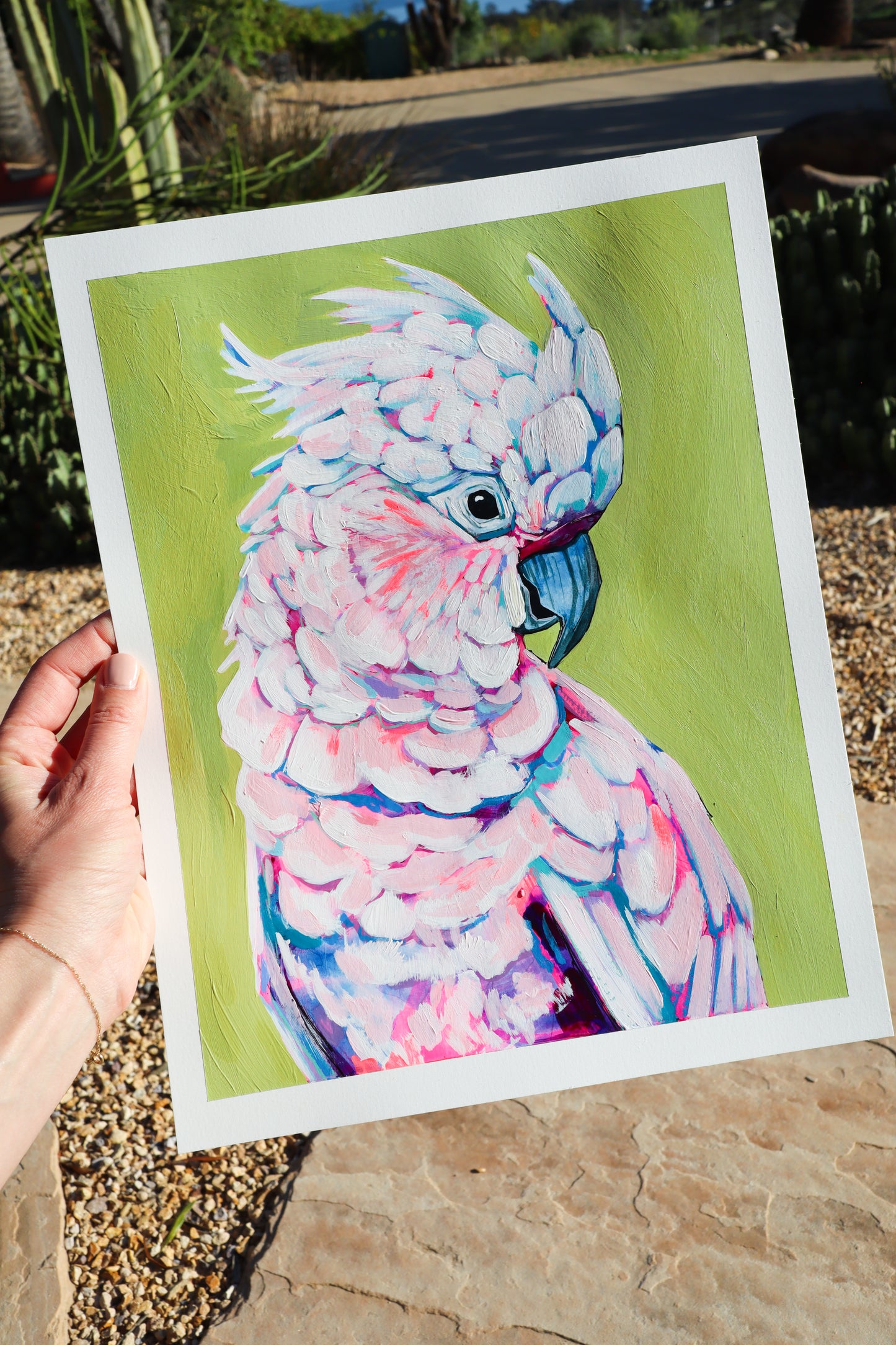 "Cockatoo Study II"