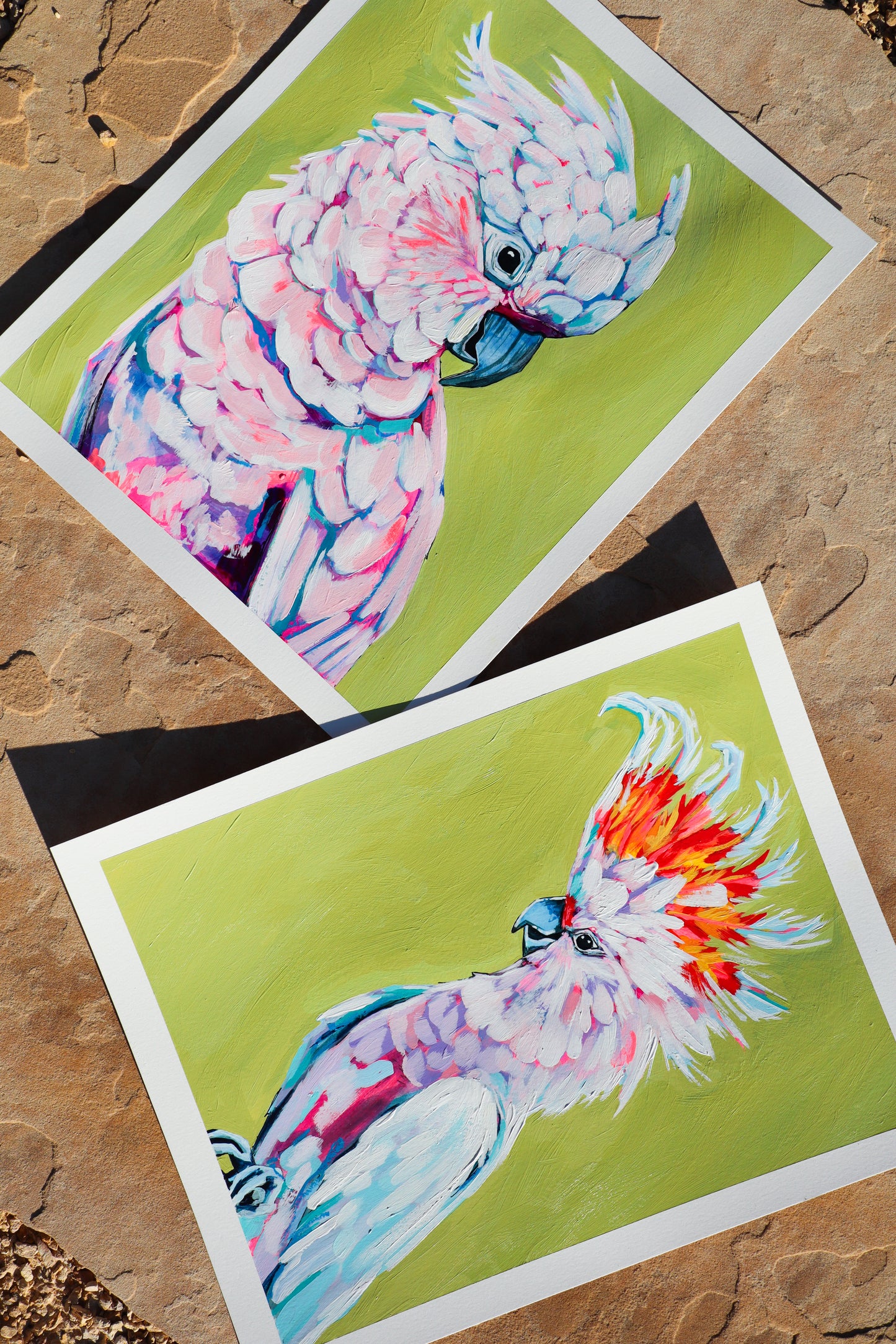 "Cockatoo Study"
