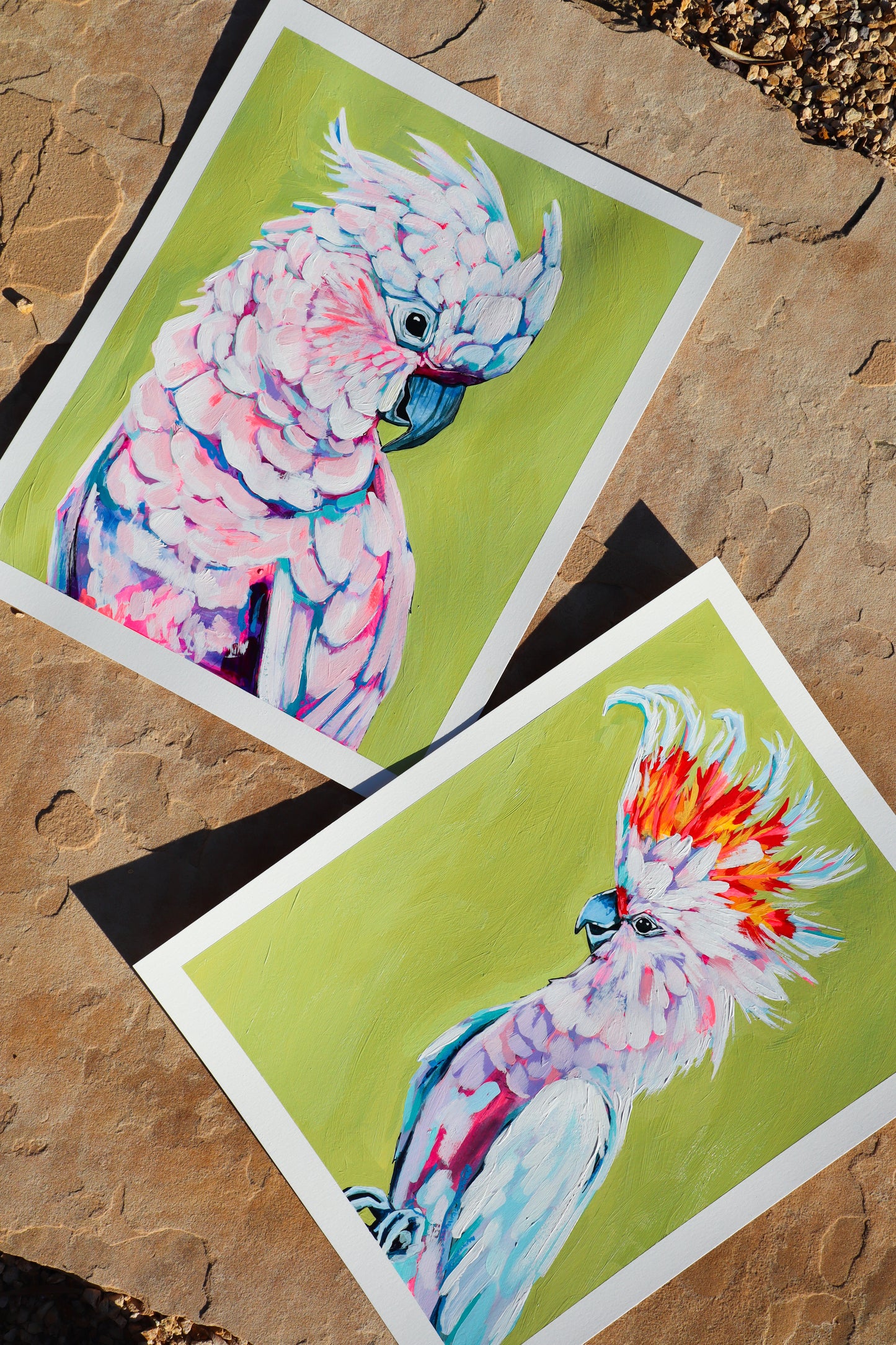 "Cockatoo Study II"