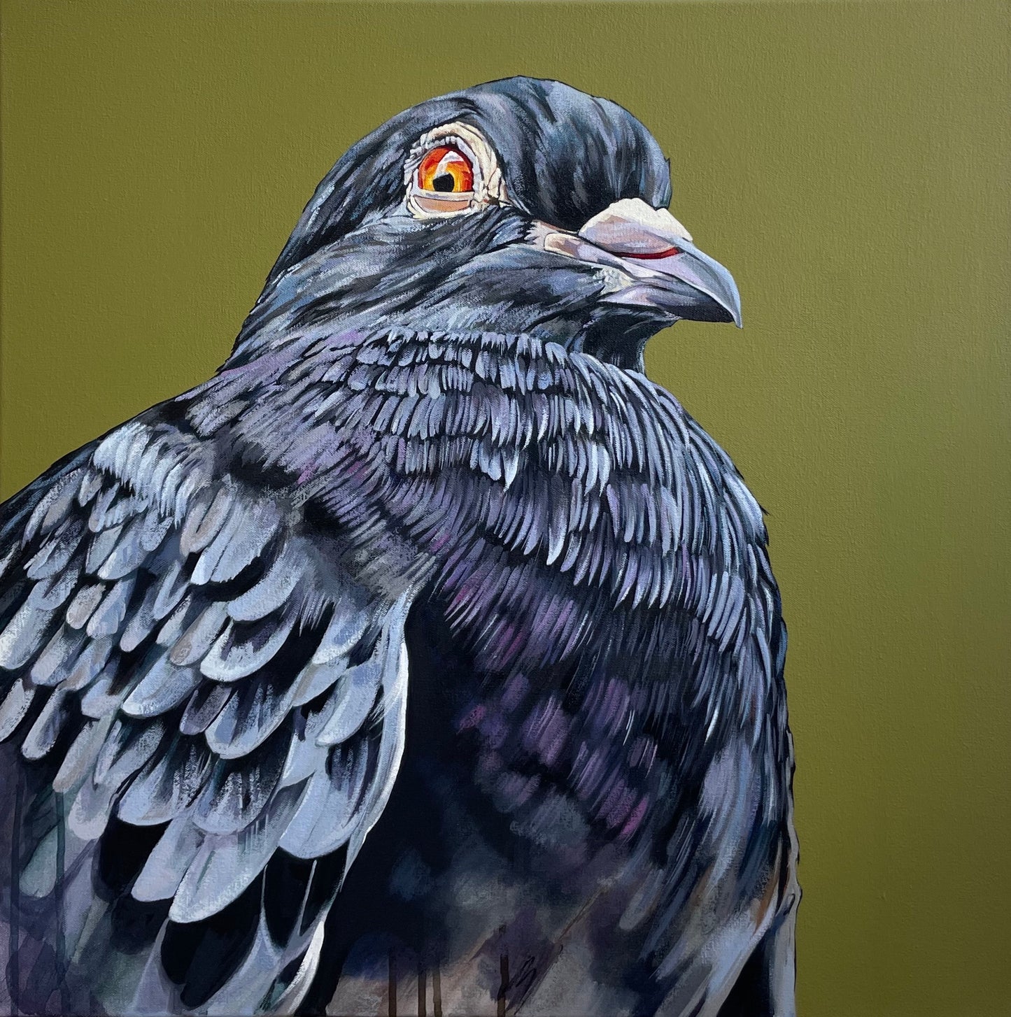 "NYC Pigeon"