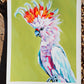 "Cockatoo Study"