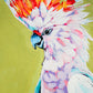 "Cockatoo Study"