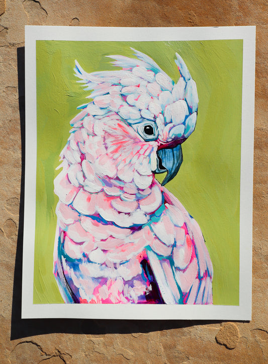 "Cockatoo Study II"