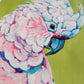 "Cockatoo Study II"