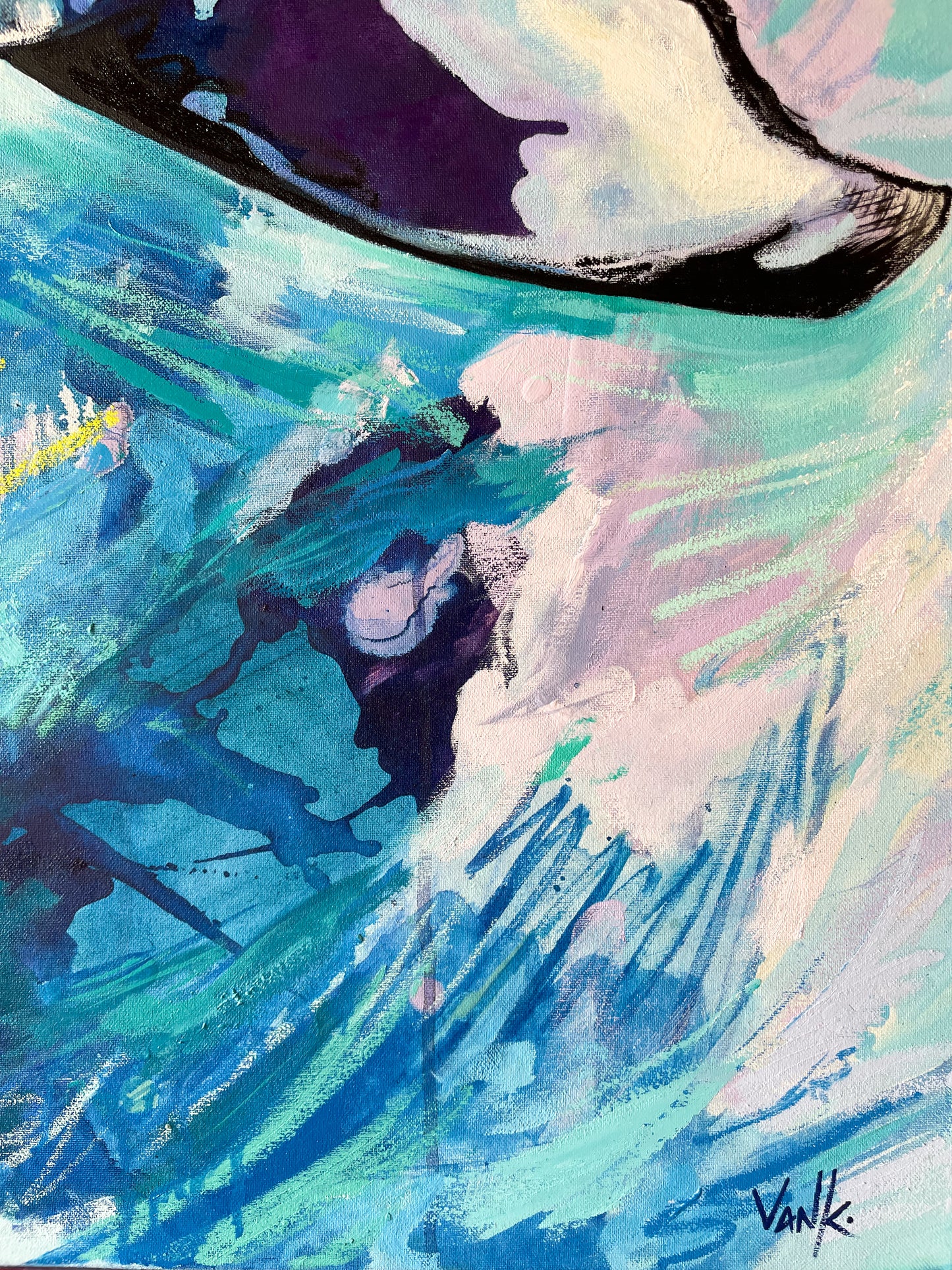 "tohora"