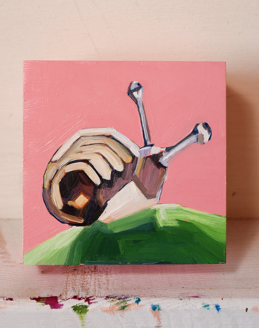 "caracol"