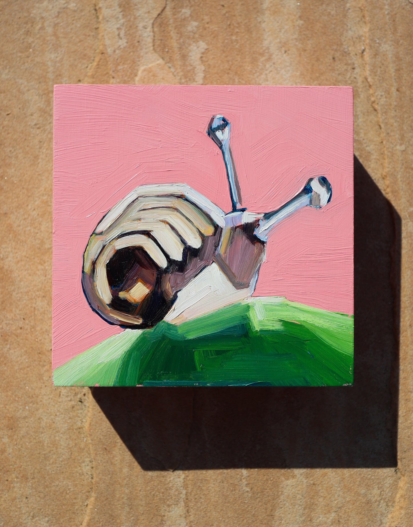 "caracol"