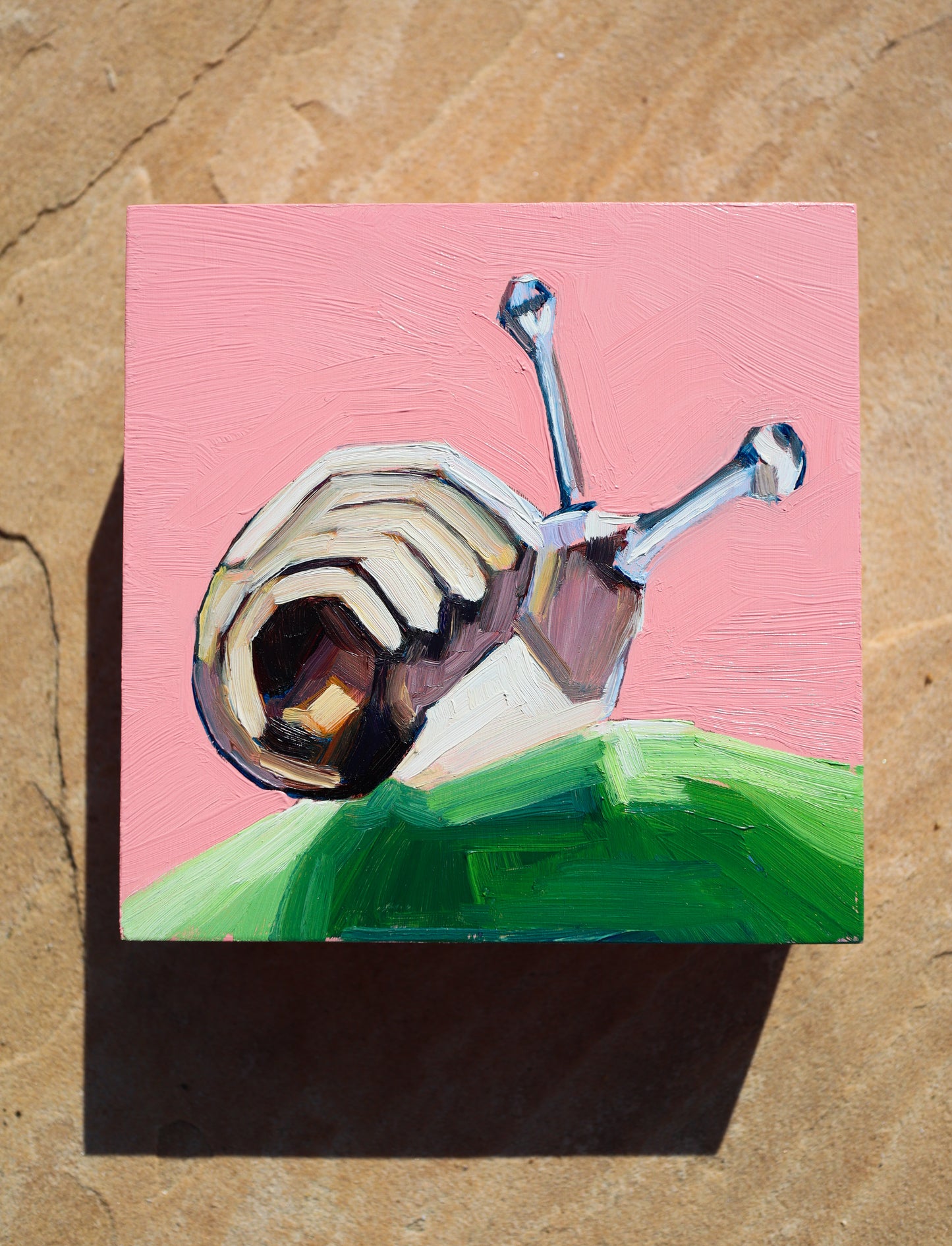 "caracol"