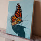 "monarch study"
