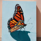 "monarch study"