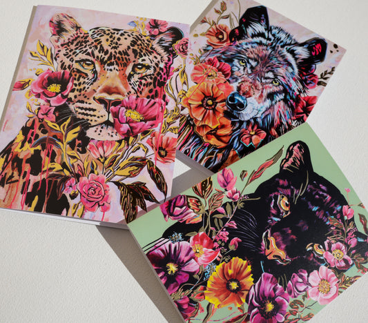 greeting card variety pack