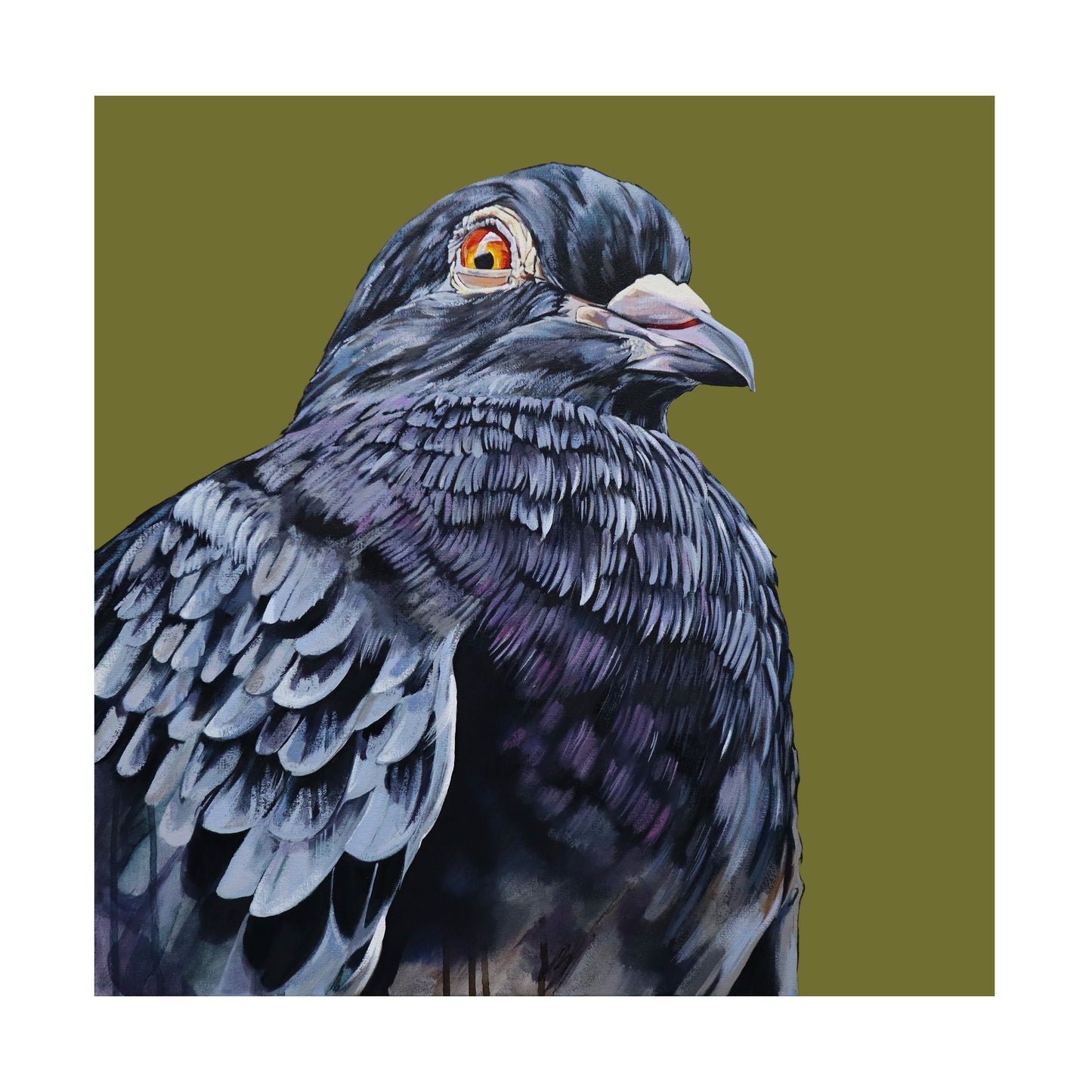 "NYC Pigeon" Fine Art Print